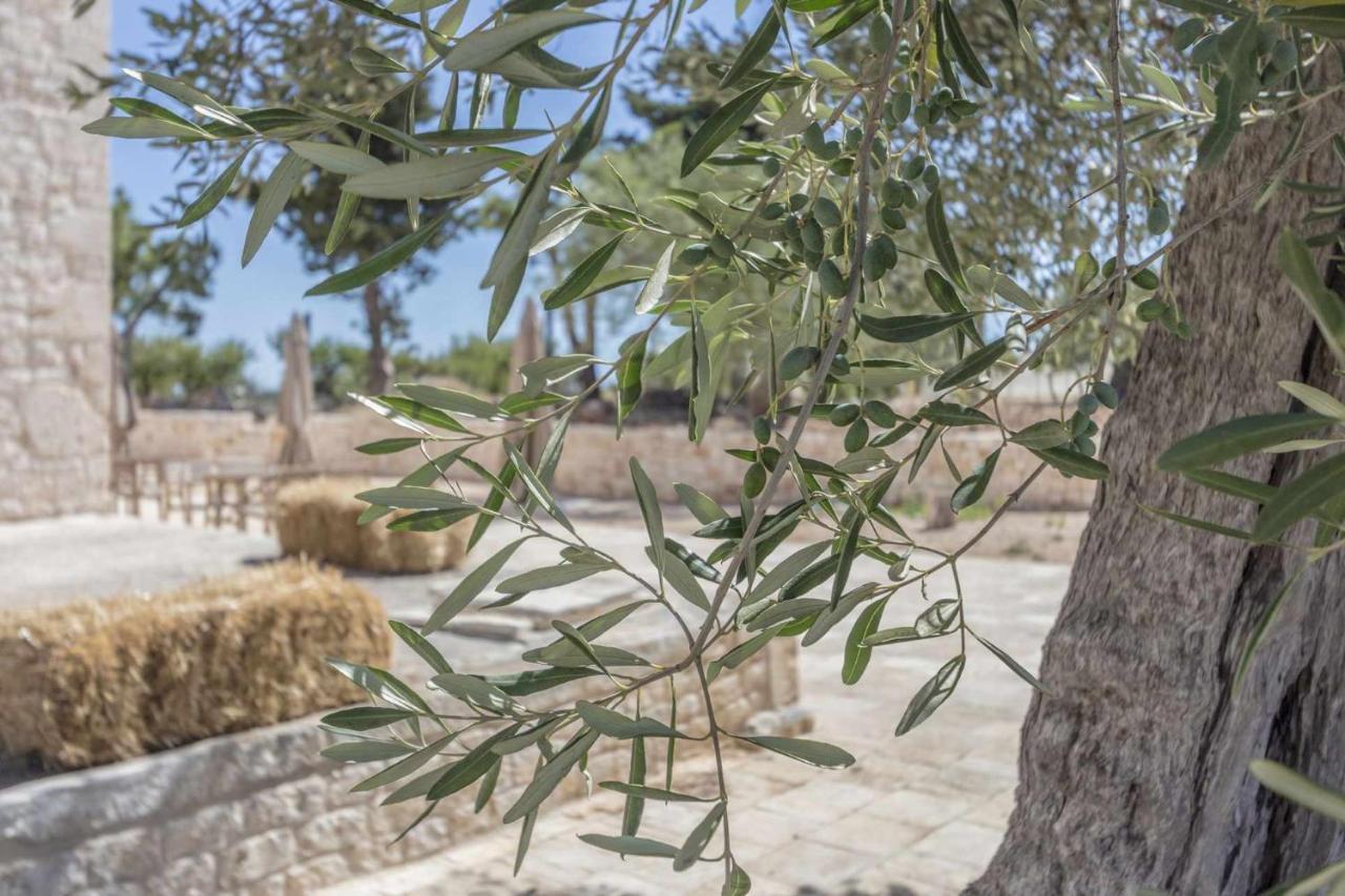 Masseria Fanizzi Conversano Eksteriør billede