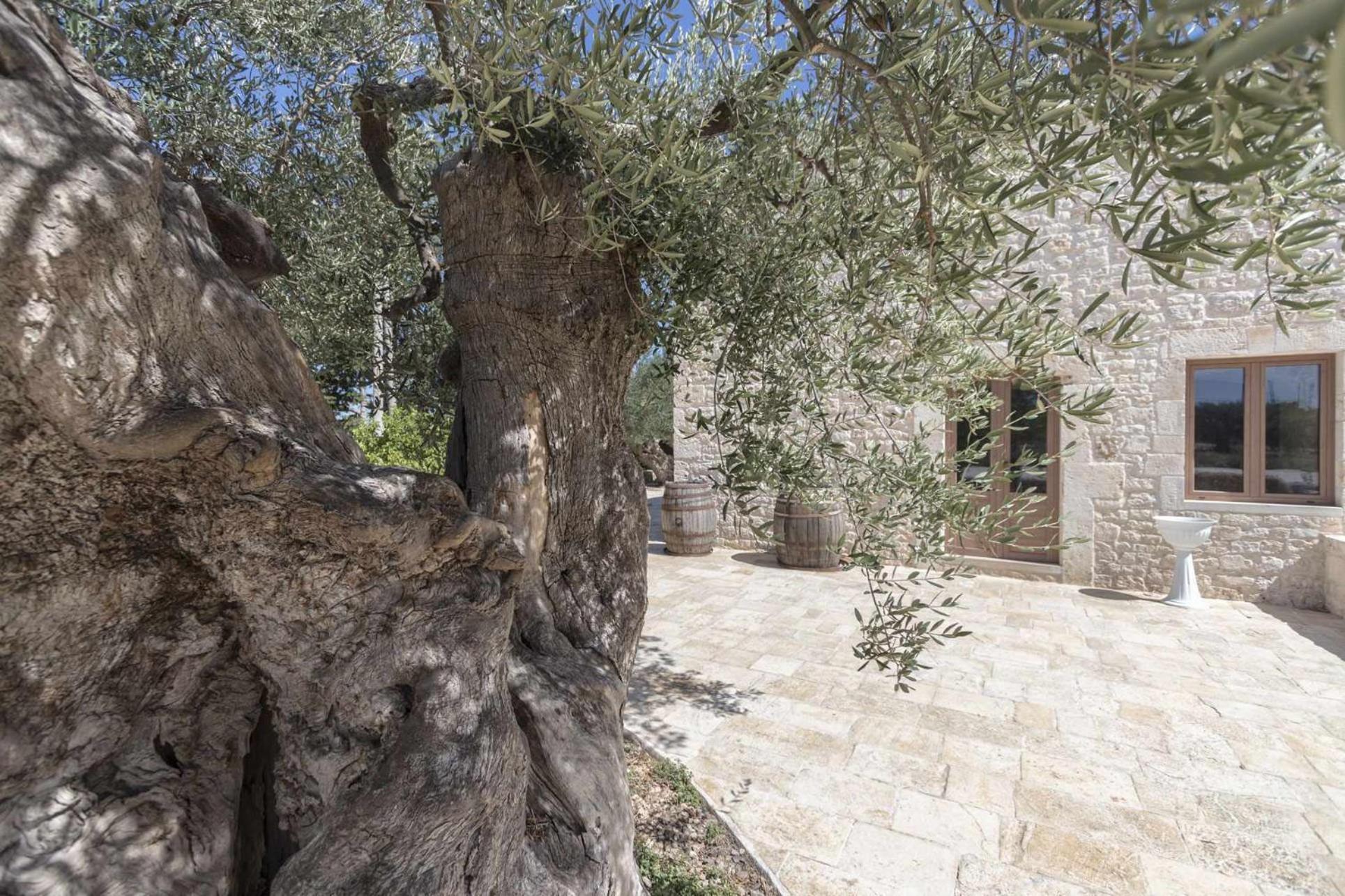 Masseria Fanizzi Conversano Værelse billede